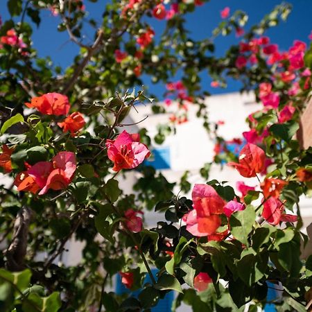 Casa Vacanze 21 Aprile - T Calasetta Eksteriør bilde